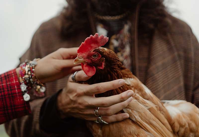 Read more about the article The Secret of Successful Village Life