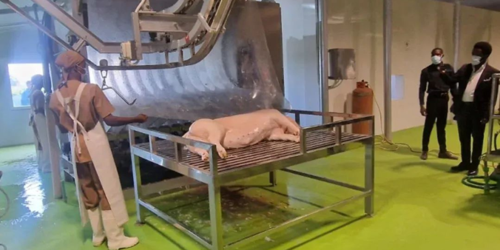 Read more about the article Benguela ganha novas unidades agroalimentares para reduzir importações